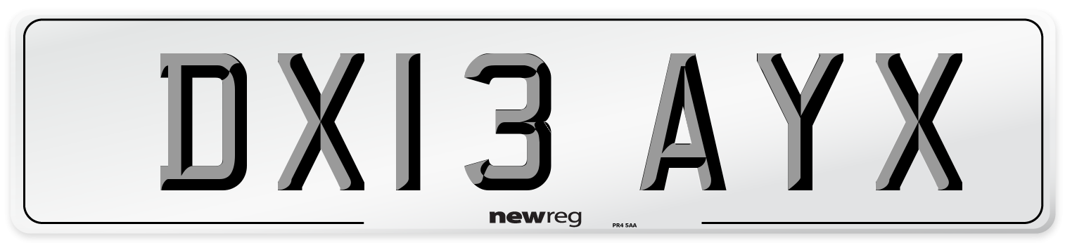 DX13 AYX Number Plate from New Reg